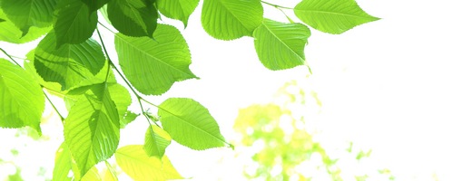 �\���n�s�iSORAHAPI�j �i���q�󌔔̔��T�C�g��